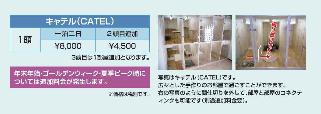 catel�����\