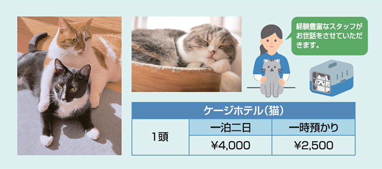 �L�z�e��l�����\