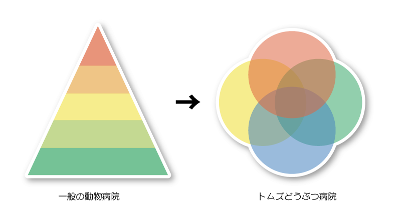 トムズどうぶつ病院の医療サービスはフラット型