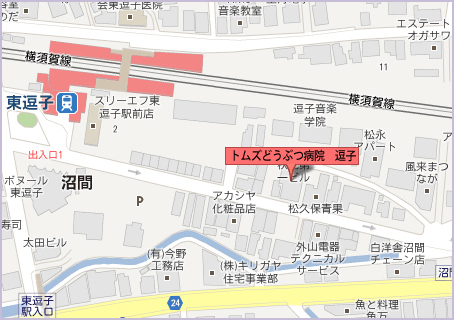 逗子のグーグルマップ画像